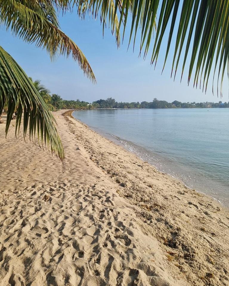 Caribbean Beach Cabanas Placencia Exterior foto